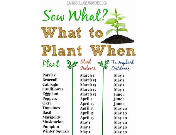 Plant your day food facts