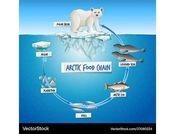 Polar food facts