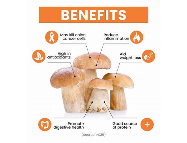 Porcini mushroom flakes food facts