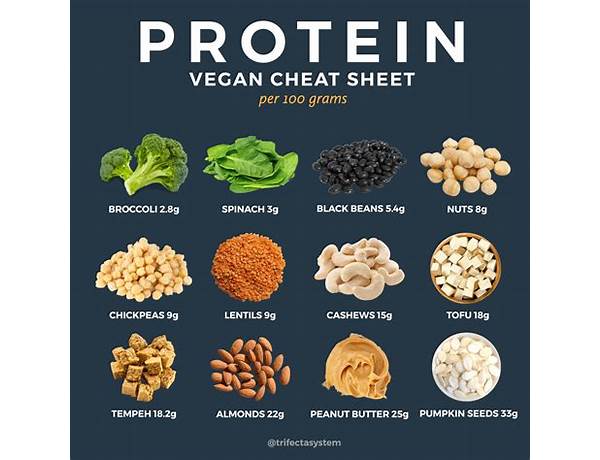 Protein vegan food facts