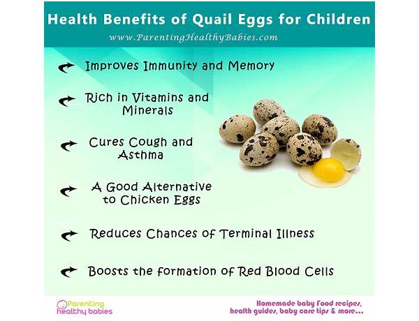 Quail eggs food facts