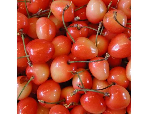 Rainer cherries ingredients