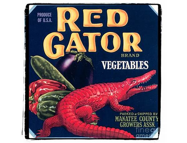 Red gator food facts