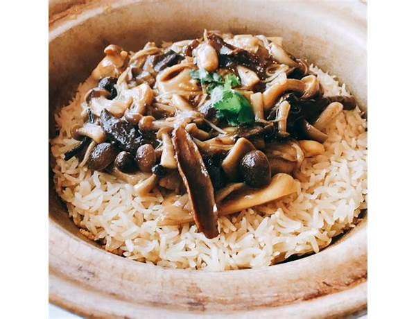 Rice and porcini mushrooms food facts