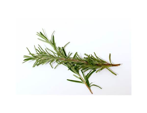Rosemary leaves ingredients