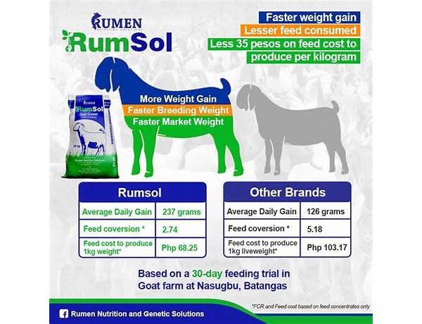 Rumen food facts