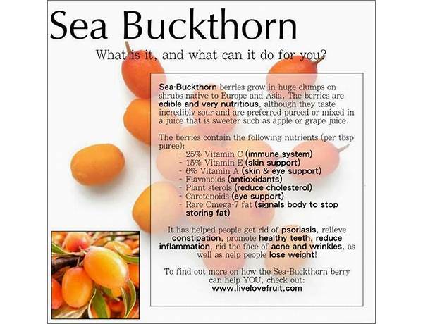 Sea bucktorn food facts