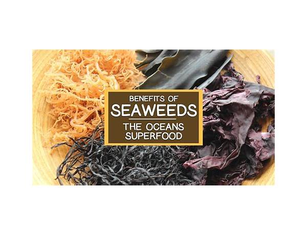 Seaweed food facts