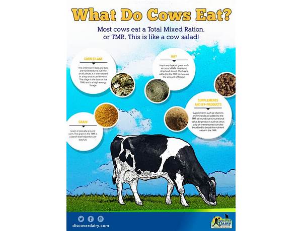 Slow cow food facts