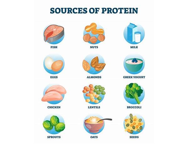 Source Of Proteins, musical term