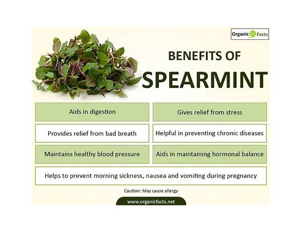 Spermint food facts