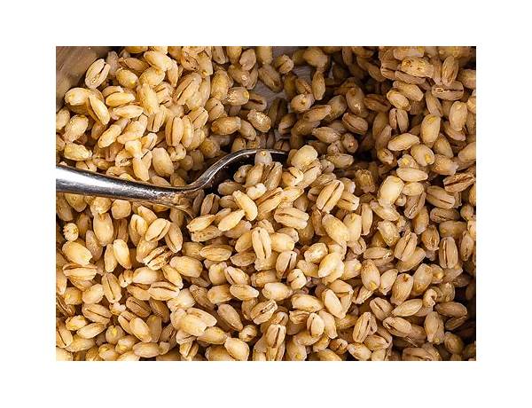 Sprouted Barley, musical term