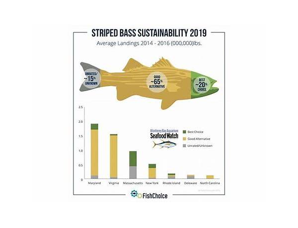 Sustainable seabass food facts