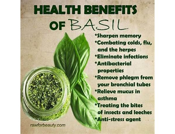 Sweet basil leaves food facts