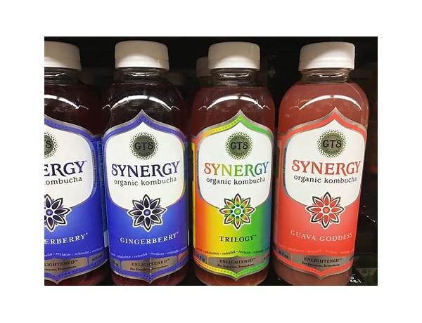 Synergy kombucha food facts