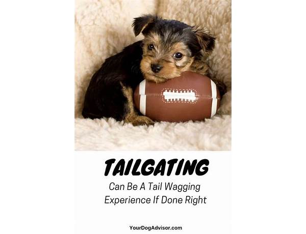 Tailgate dogs food facts