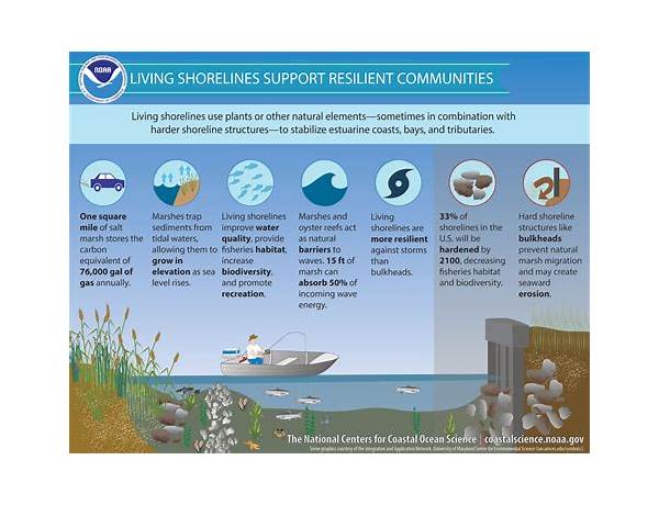 Tidal defense food facts