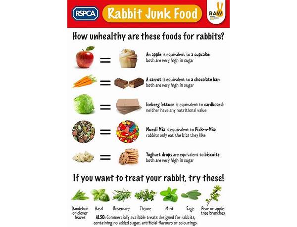 White rabbit food facts