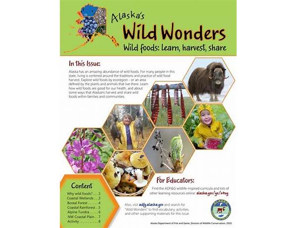 Wild wonders food facts