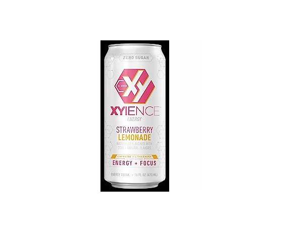 Xyience, musical term