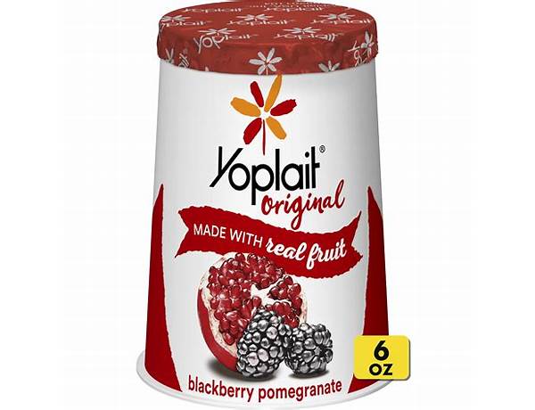 Yoplait blackberry pomegranate yogurt food facts